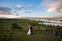 Sonoma-Wedding-Photographer-Viansa-166