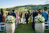 Sonoma-Wedding-Photographer-Viansa-50