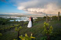 Sonoma-Wedding-Photographer-Viansa-168