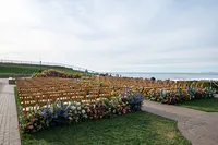 Ritz-Carlton-Half-Moon-Bay-Flowers-by-Edgar