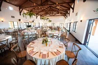 Sonoma-Wedding-Photographer-Viansa-16