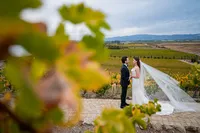 Sonoma-Wedding-Photographer-Viansa-86