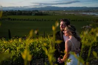 Sonoma-Wedding-Photographer-Viansa-59