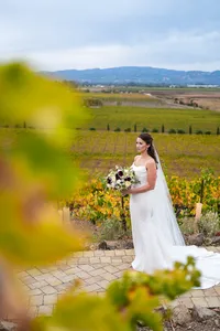 Sonoma-Wedding-Photographer-Viansa-85