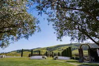 Sonoma-Wedding-Photographer-Viansa-118
