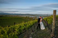 Sonoma-Wedding-Photographer-Viansa-61