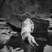 Woman seated in shallow water beneath sheer fabric during a black-and-white outdoor boudoir session.