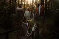 trees
