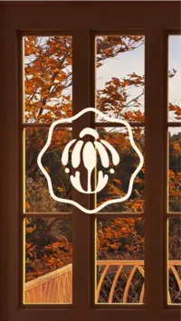 marigold house brand identity 14
