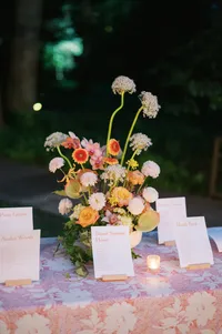 molly-and-chris-wedding-highlights-4