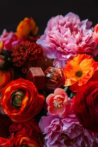 MAPhotography-8
