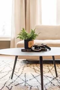 halifax-nova-scotia-decorating-and-furniture-selection-home-refresh00101