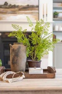 halifax-nova-scotia-decorating-and-furniture-selection-home-refresh00023