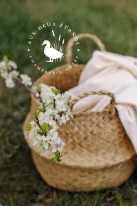 portfolio-bewildstudio-DE8
