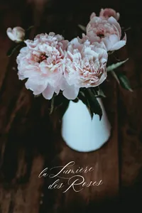 portfolio-bewildstudio-LR4