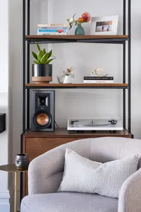 Furnish Living Room Accent Chair