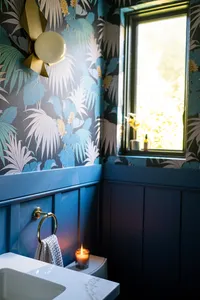 Remodel and Furnish_Powder Bath Toilet