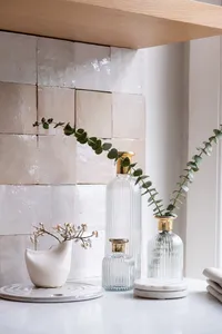 Remodel and Furnish_Laundry Room_Tile Details_Plant