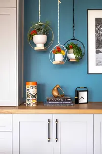 Furnish_Living Room_Accent Wall Decor_Hanging Planters