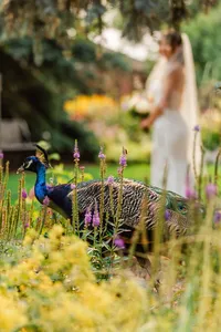 1023-Maddy&TavishWedding