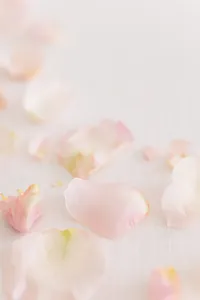 1G5A5234