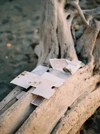 Wedding stationery styling on driftwood with handmade paper in a nature-inspired editorial