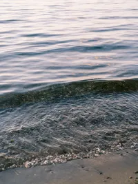 Soft shoreline water texture in Olympic National Park with natural light reflections