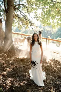 Bride holding delicate cosmos bouquet during rehearsal dinner with llamas and sheep in the vineyard backdrop.