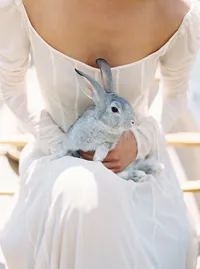 Close-up bridal detail with rabbit in soft natural light outdoor editorial