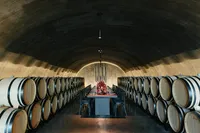 Long table rehearsal dinner design inside a winery cellar surrounded by oak barrels and candlelit floral arrangements.