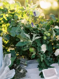 Natural floral arrangement with greenery and fruit in organic wedding styling