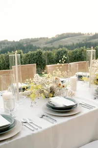 Styled reception place setting framed by vineyard landscape and open sky.