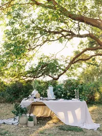 nature-bridal-tablescape-under-tree-washington5