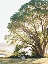 outdoor wedding tablescape under tree with organic textures and neutral tones
