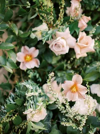Close-up of ceremony arch florals with blush garden roses and soft greenery at Sunstone Winery wedding in Santa Ynez Valley.