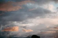 000018650022