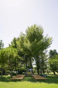 Outdoor wedding ceremony set under pine trees, with wooden benches, rattan chairs and blue and white flowers, Provence