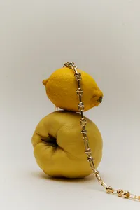 kaboompics_quince-and-lemon-balanced-with-gold-chain-necklace-37565