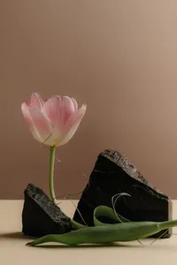 kaboompics_minimal-still-life-with-eggs-bread-and-flowers-inspired-by-easter-41505