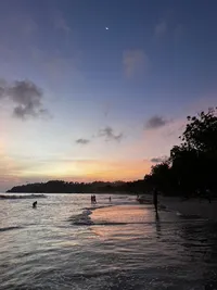 D87BF9BF-B0AB-42EC-8EC8-01A0799B233E_1_105_c