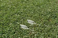 DSC00117
