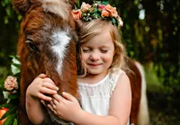 Northern California Equine Portraits