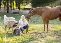 Northern California Equine Portraits