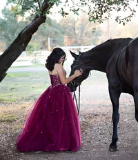 Northern California Equine Portraits