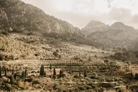 Mallorcan Verdant Retreat 01