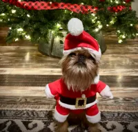 wickett