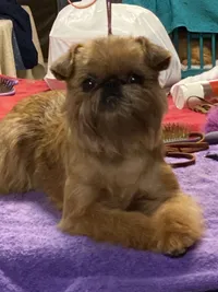 Manny
