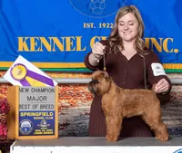 Pixie - 2025-11-23 Springfield KC - BOB Major & New Champion 103890851-THP_7354 Tight Crop