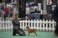 Simone 2026-03-11 Louisville Specialty - Free Stack Candid - BGriffon Rickard4