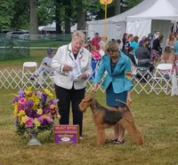 2022-06-21 (3) AIREDALE SURI